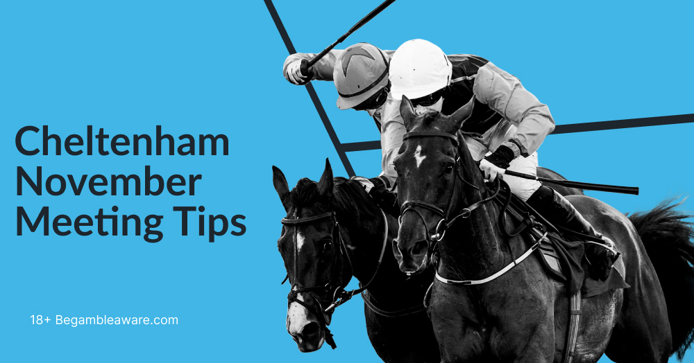 Cheltenham November Meeting tips in text