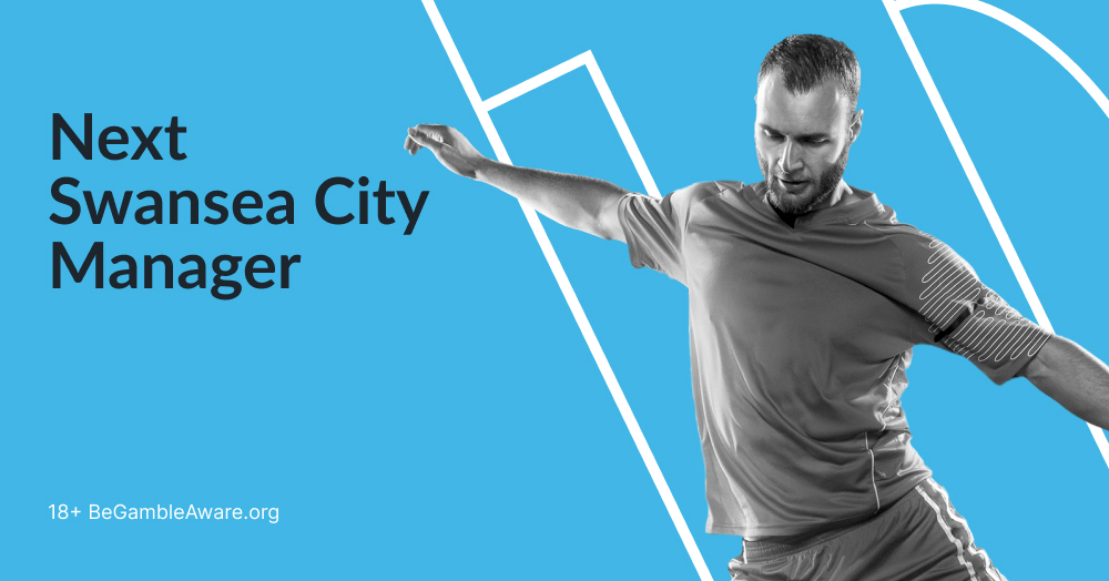 Next Swansea City Manager