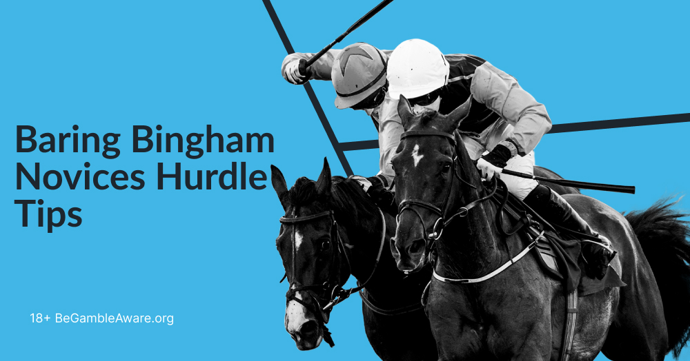 baring bingham novices hurdle tips