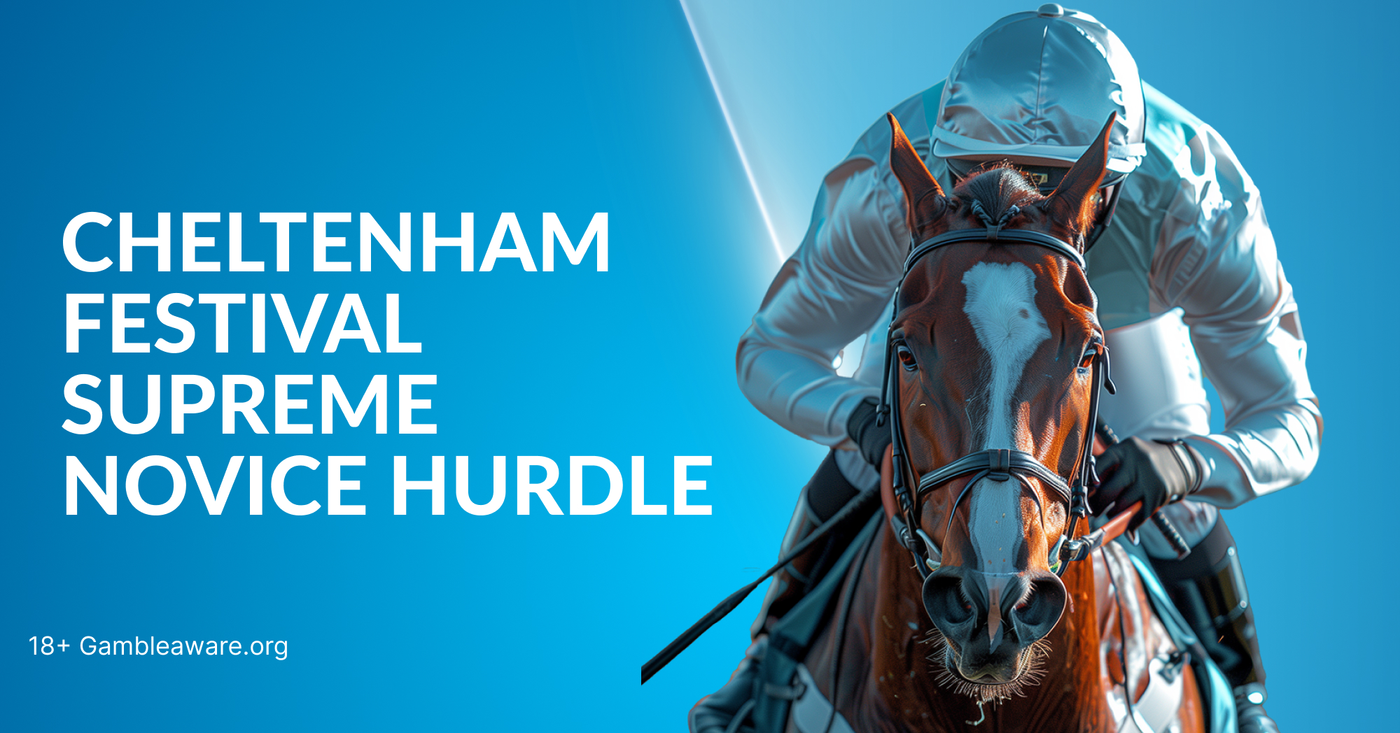 Cheltenham Festival Supreme Novice Hurdle 