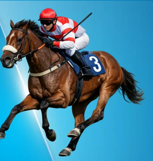 Cheltenham Festival  2026 Gold Cup Preview