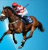 Cheltenham Festival  2026 Gold Cup Preview
