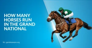 How Many Horses Will Race In The 2026 Grand National? 