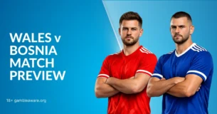 Wales Vs Bosnia World Cup Play-Off Preview, H2H Record & Betting Angles