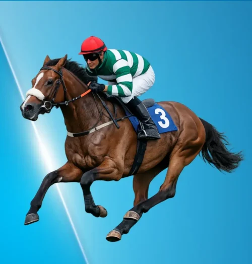 How Many Times Has Willie Mullins Won The Grand National?