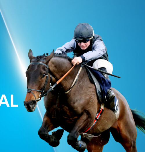 Four Horses To Consider For The Grand National