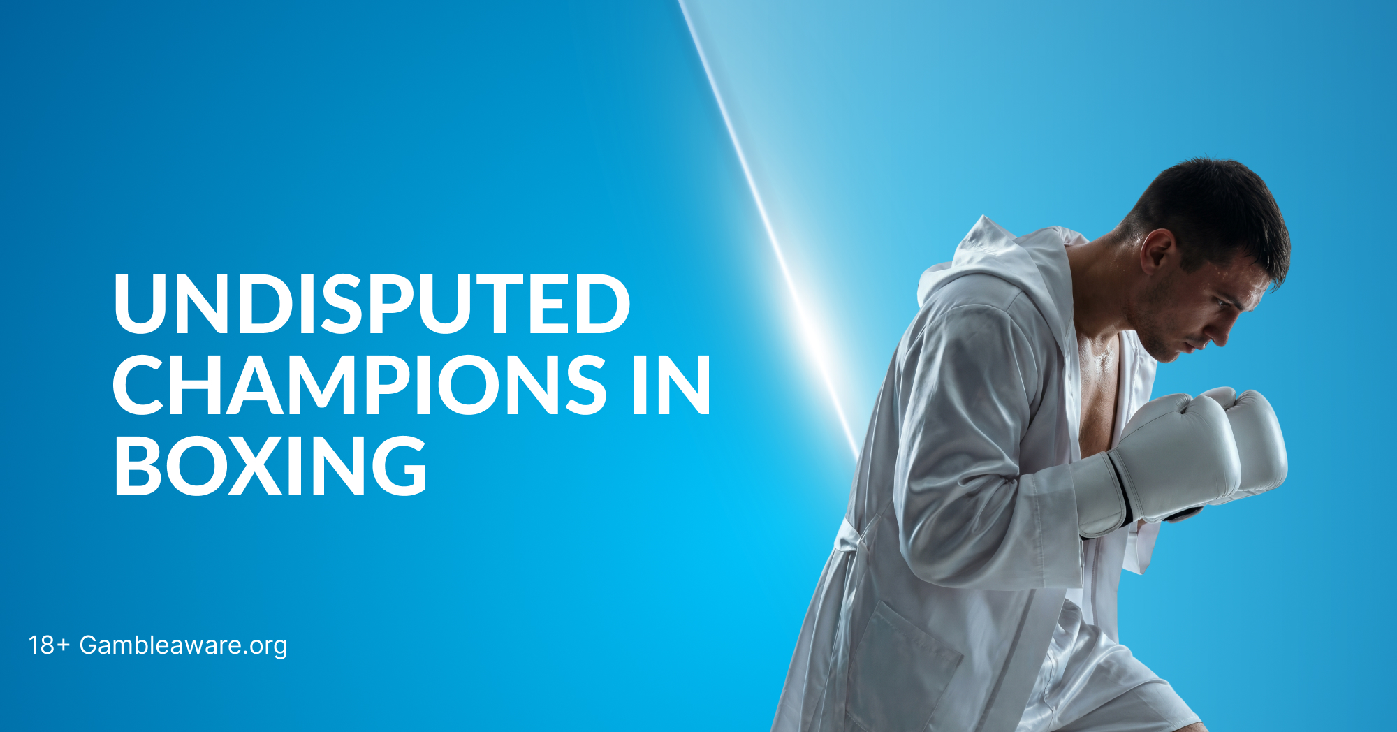 Undisputed Champions in Boxing