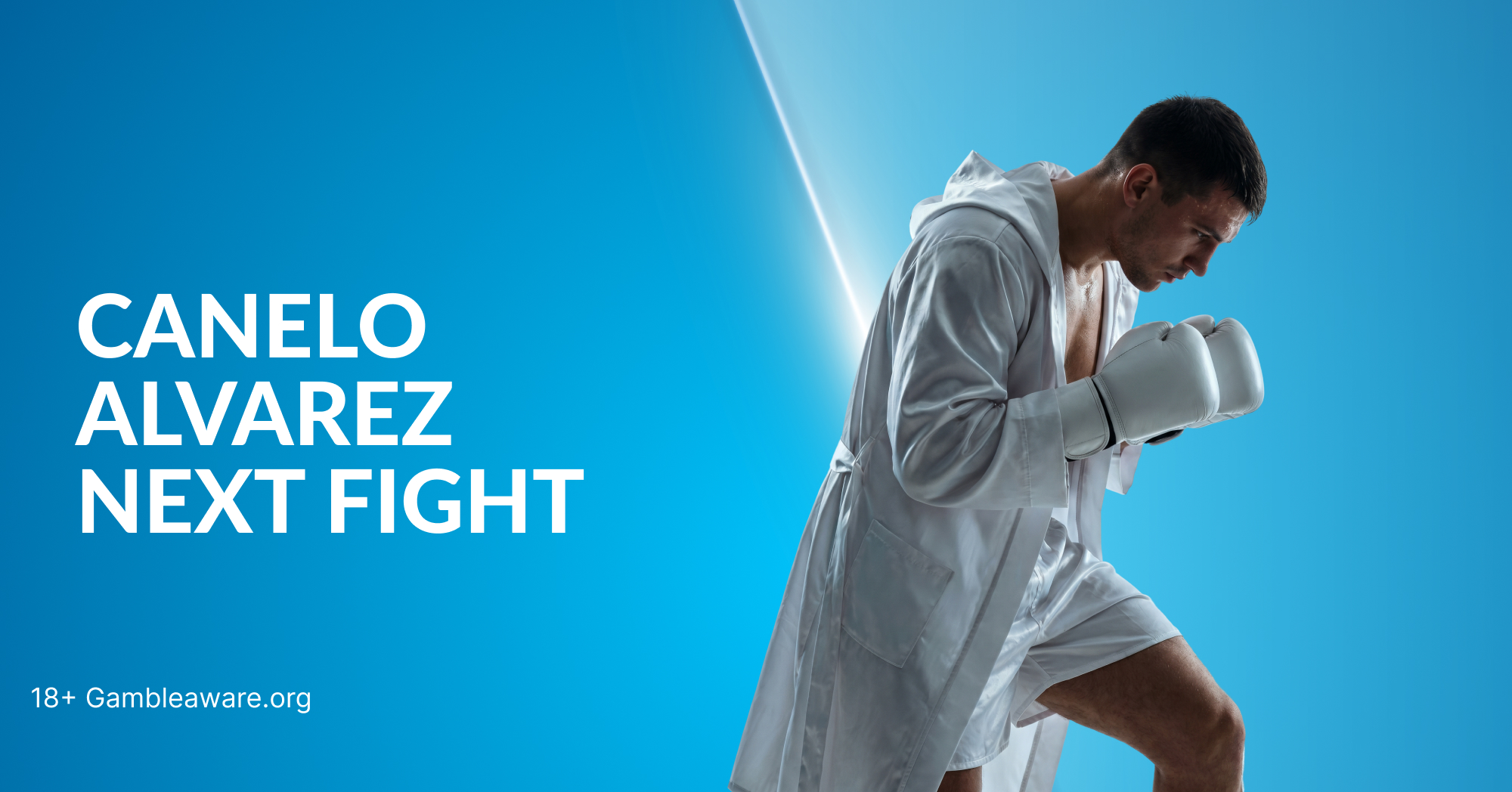 Canelo Alvarez Next Fight