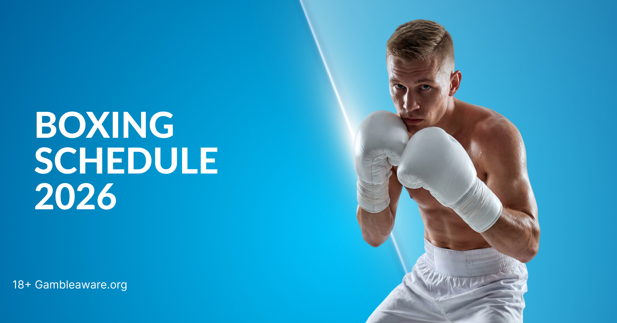 Boxing Schedule 2026
