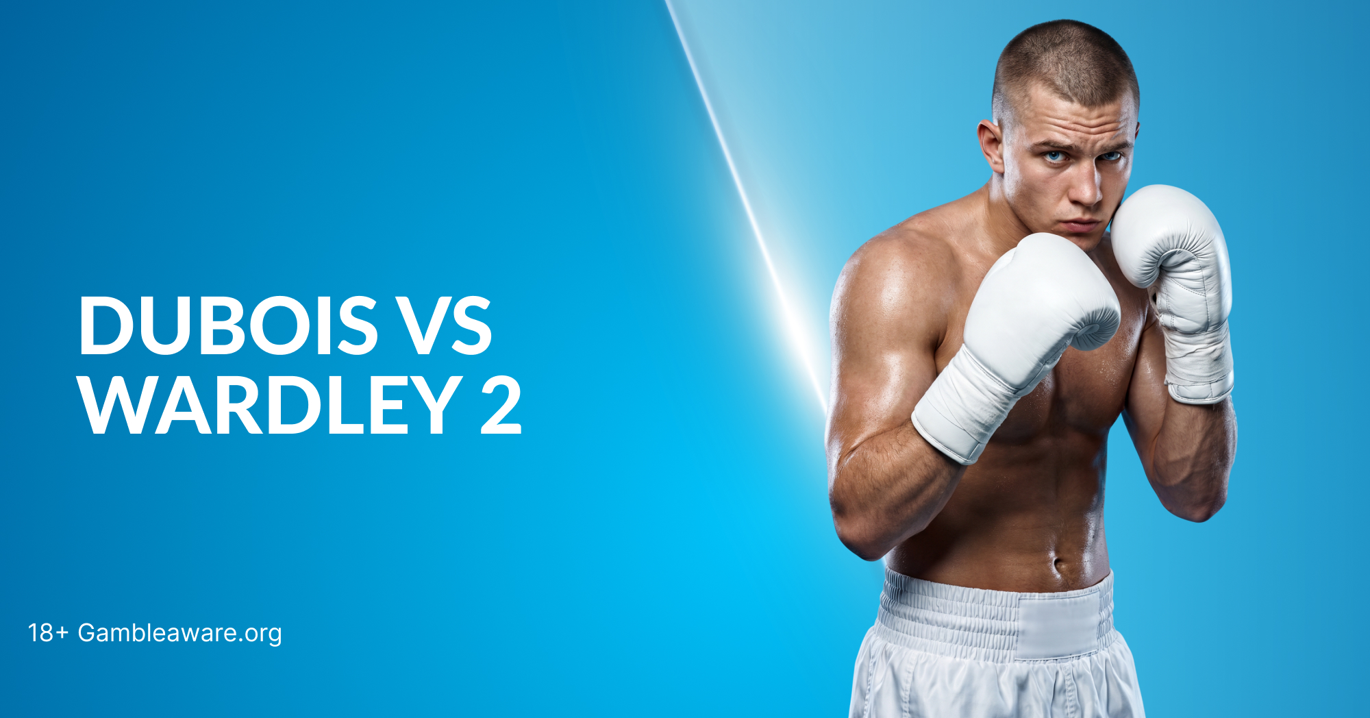 Daniel Dubois vs Fabio Wardley 2
