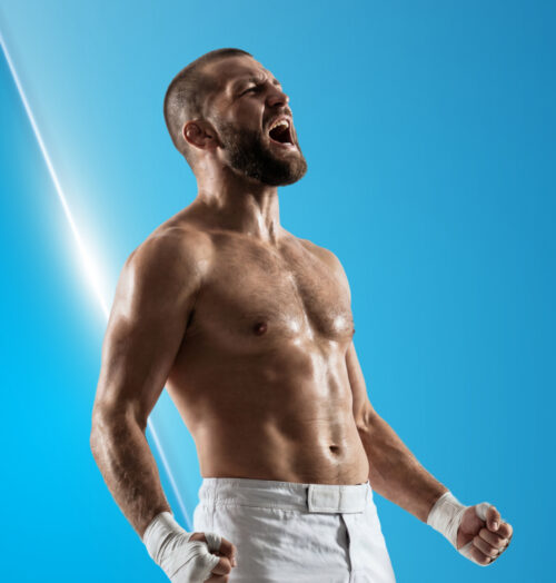 UFC Results 2026