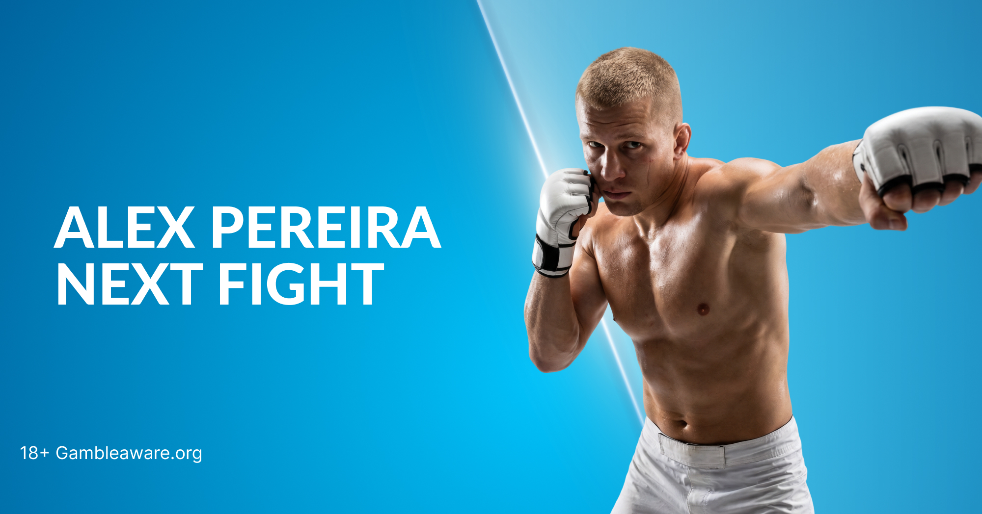 Alex Pereira Next Fight