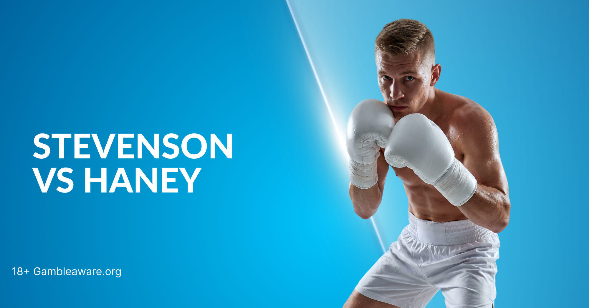 Shakur Stevenson vs Devin Haney