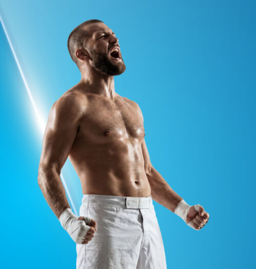 What Is an Interim UFC Champion