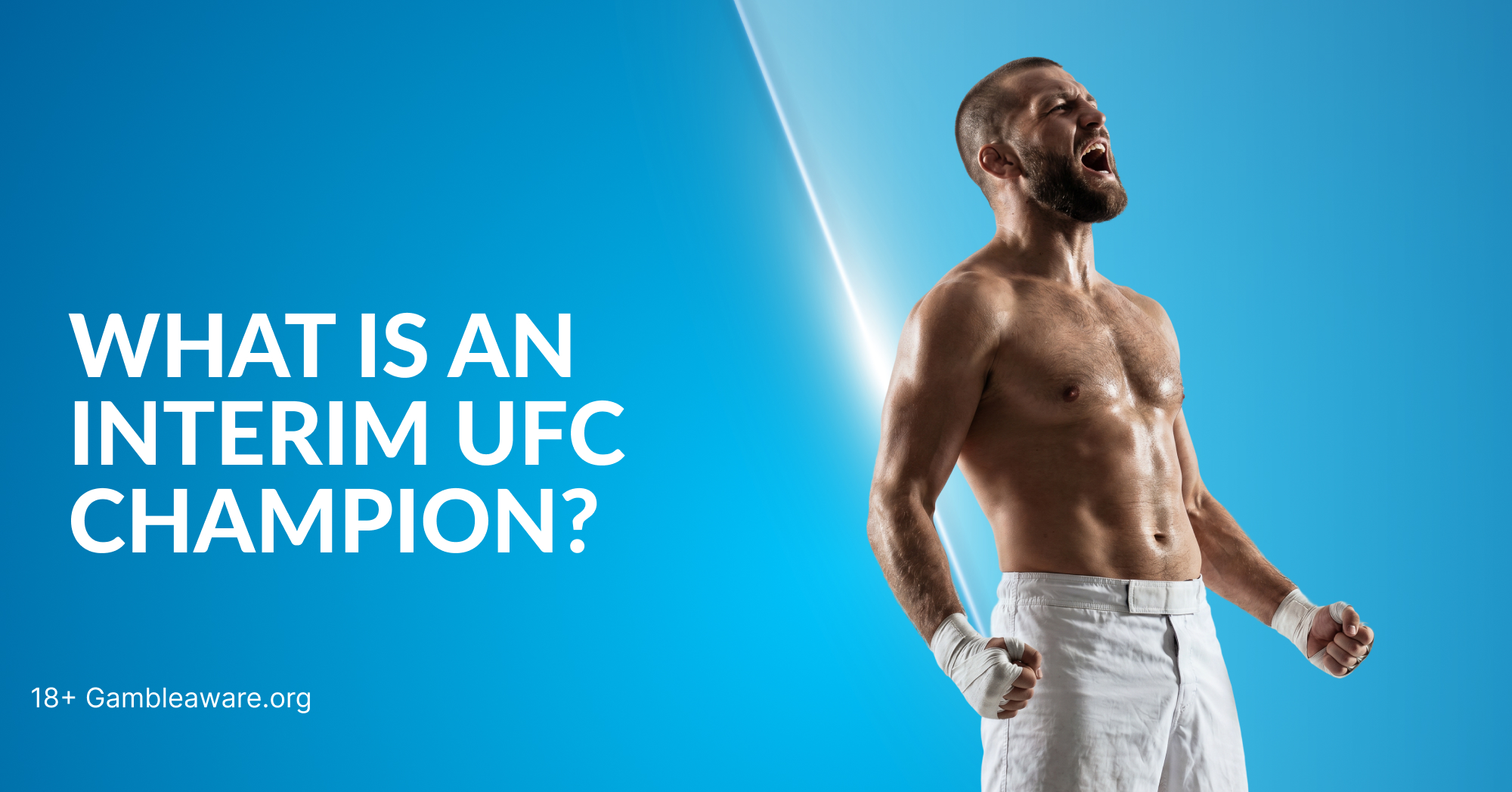 What Is an Interim UFC Champion